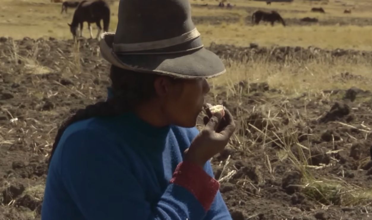 The Scale Of Human Cooperation