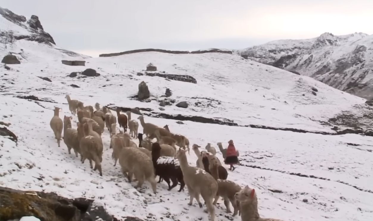 Echoes In Today’s Practices