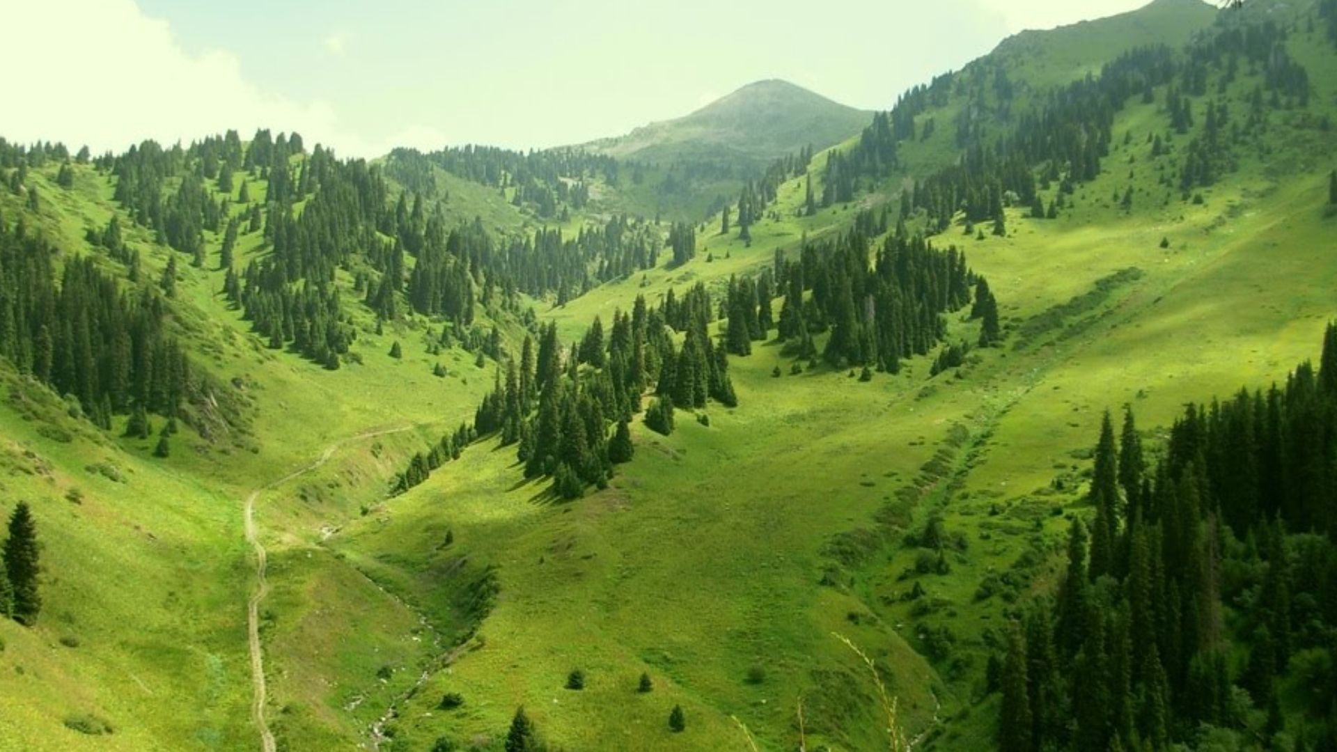 File:Mountains in South-Eastern Kazakhstan.jpg