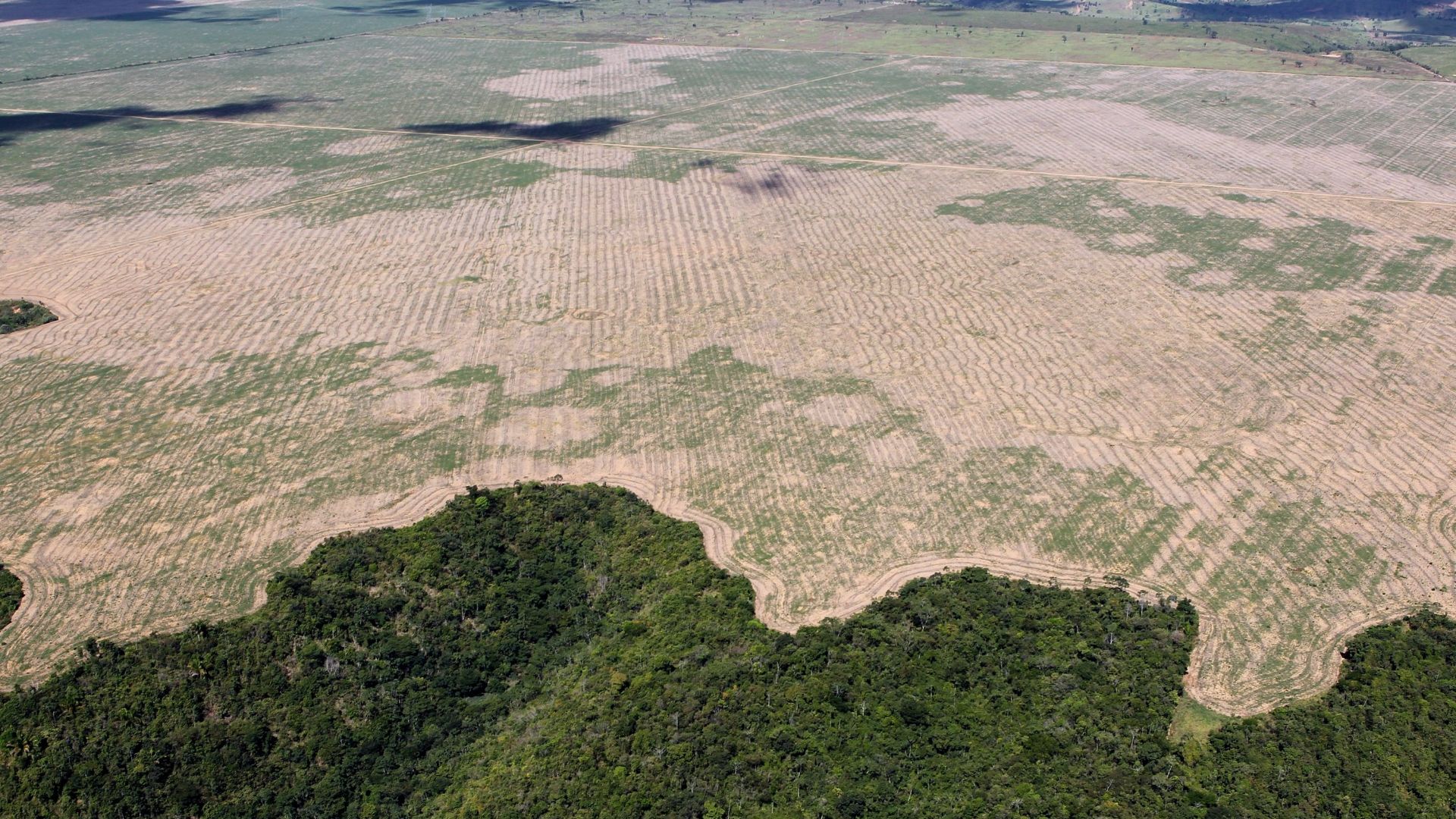 File:Operação Hymenaea, Julho-2016 (29399454651).jpg