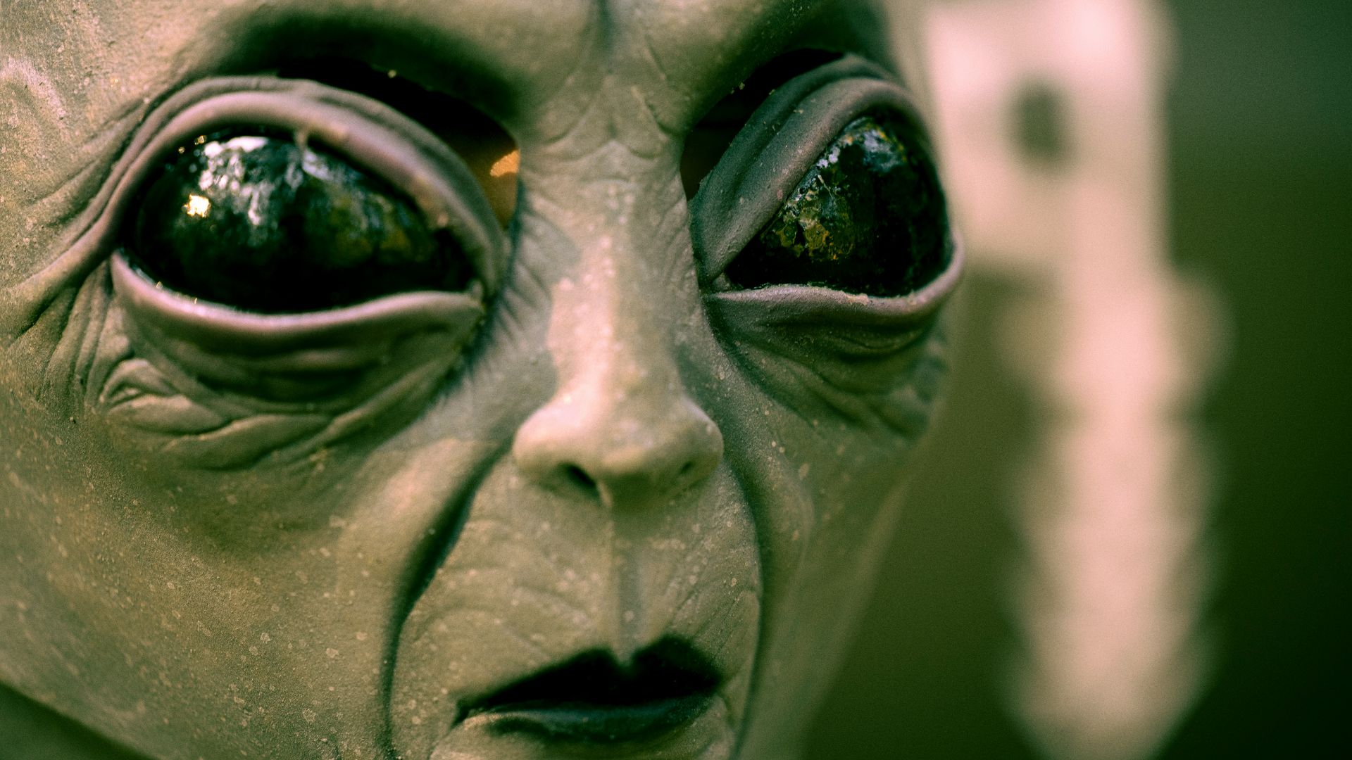 gray scale photo of human face