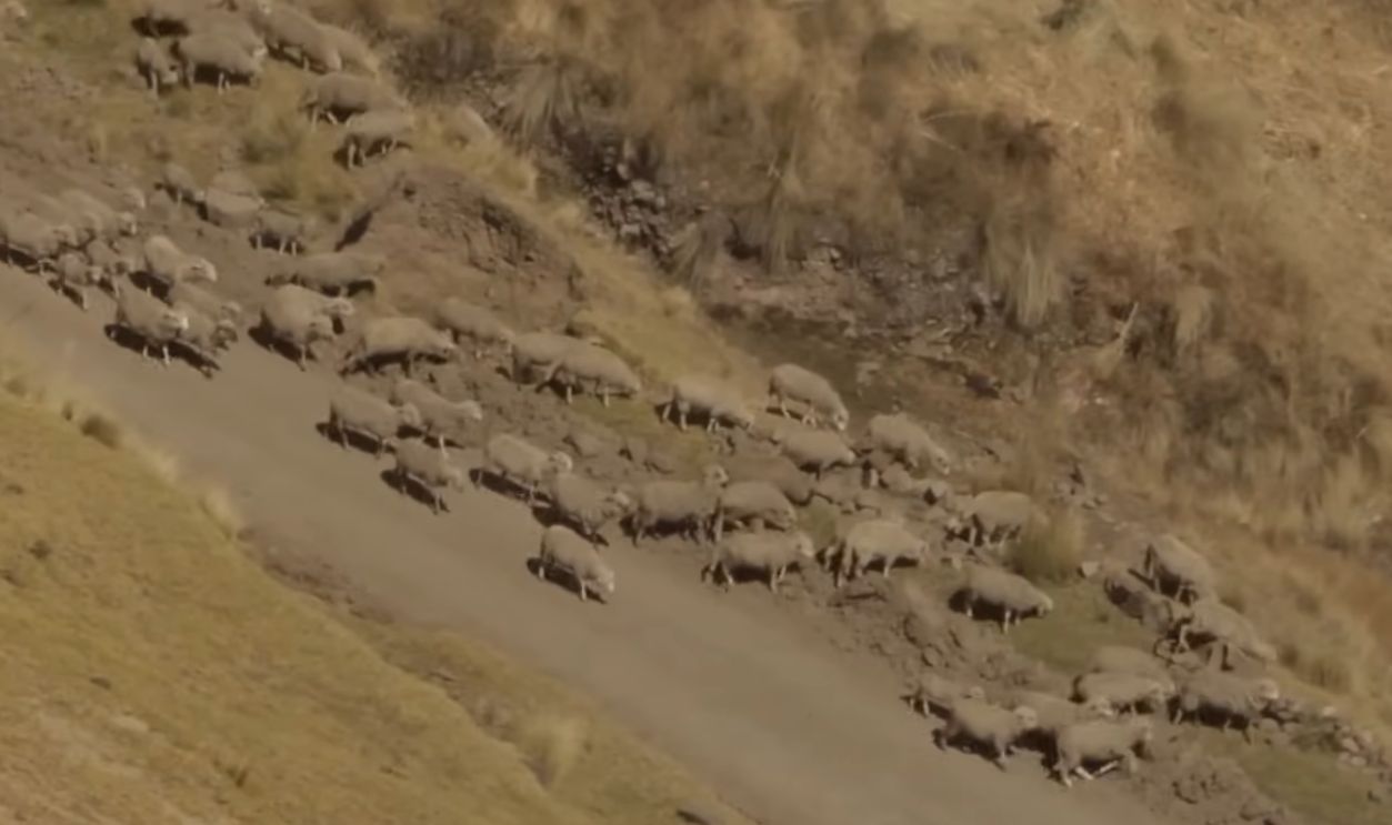 Understanding The Chacu System