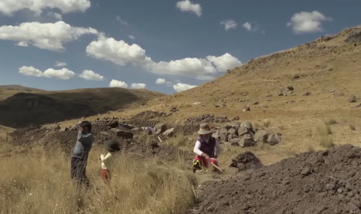 Teamwork Across Generations