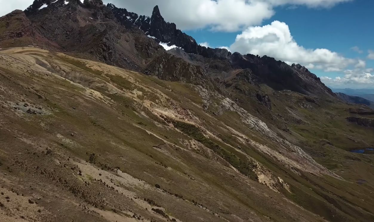 Environmental Adaptation And Survival