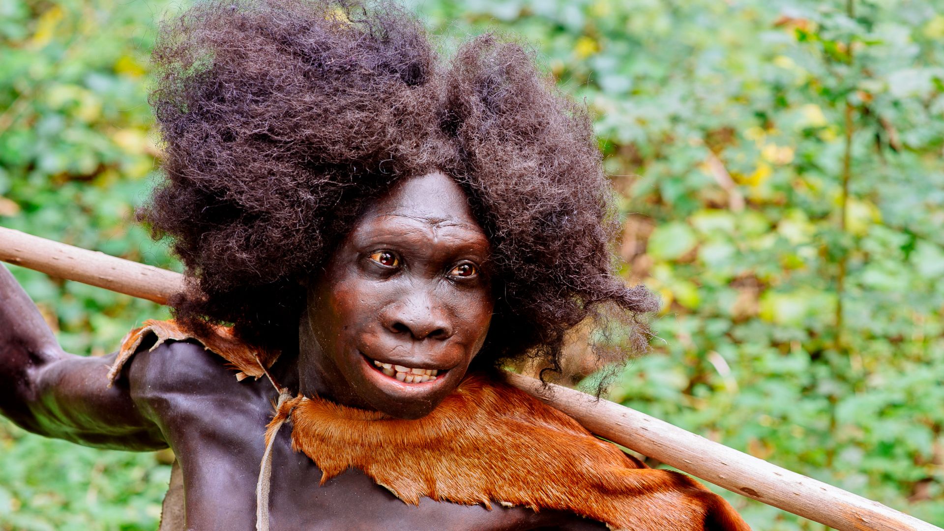 File:Homo-erectus Turkana-Boy (Ausschnitt) Fundort Nariokotome, Kenia, Rekonstruktion im Neanderthal Museum.jpg