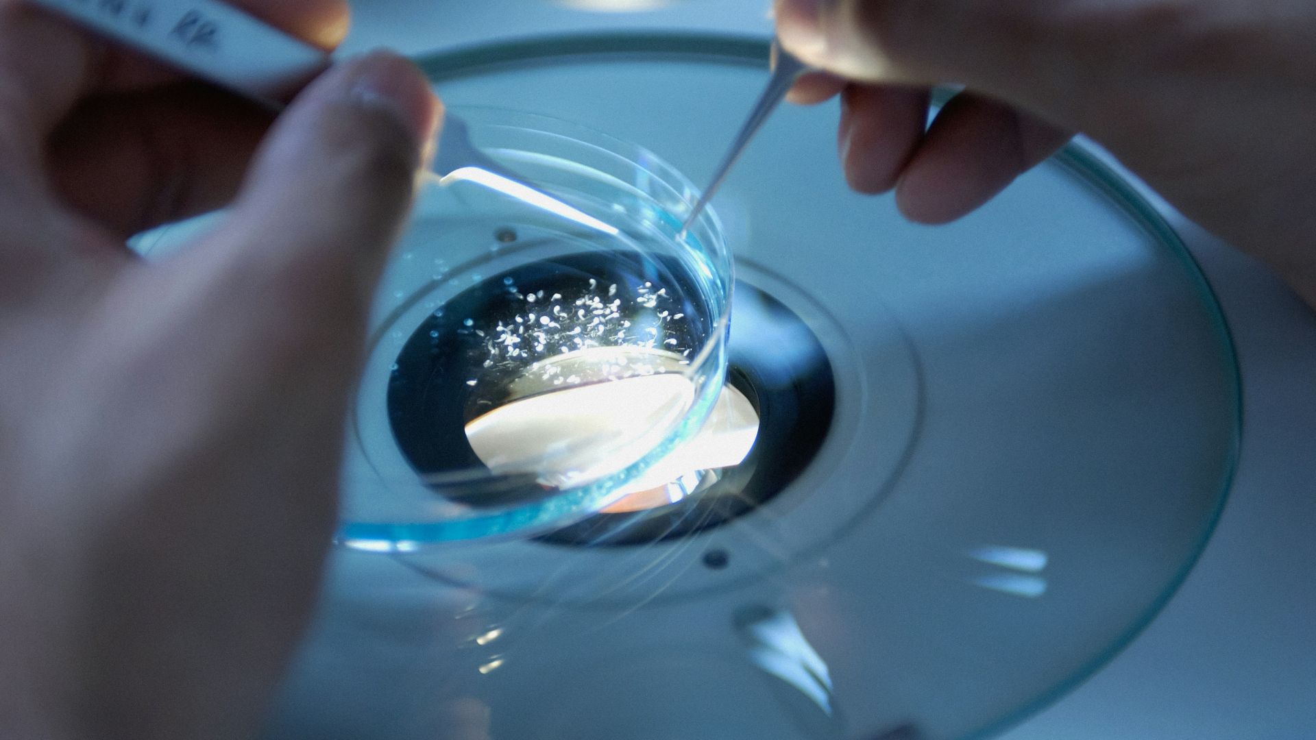 a close up of a person holding a toothbrush