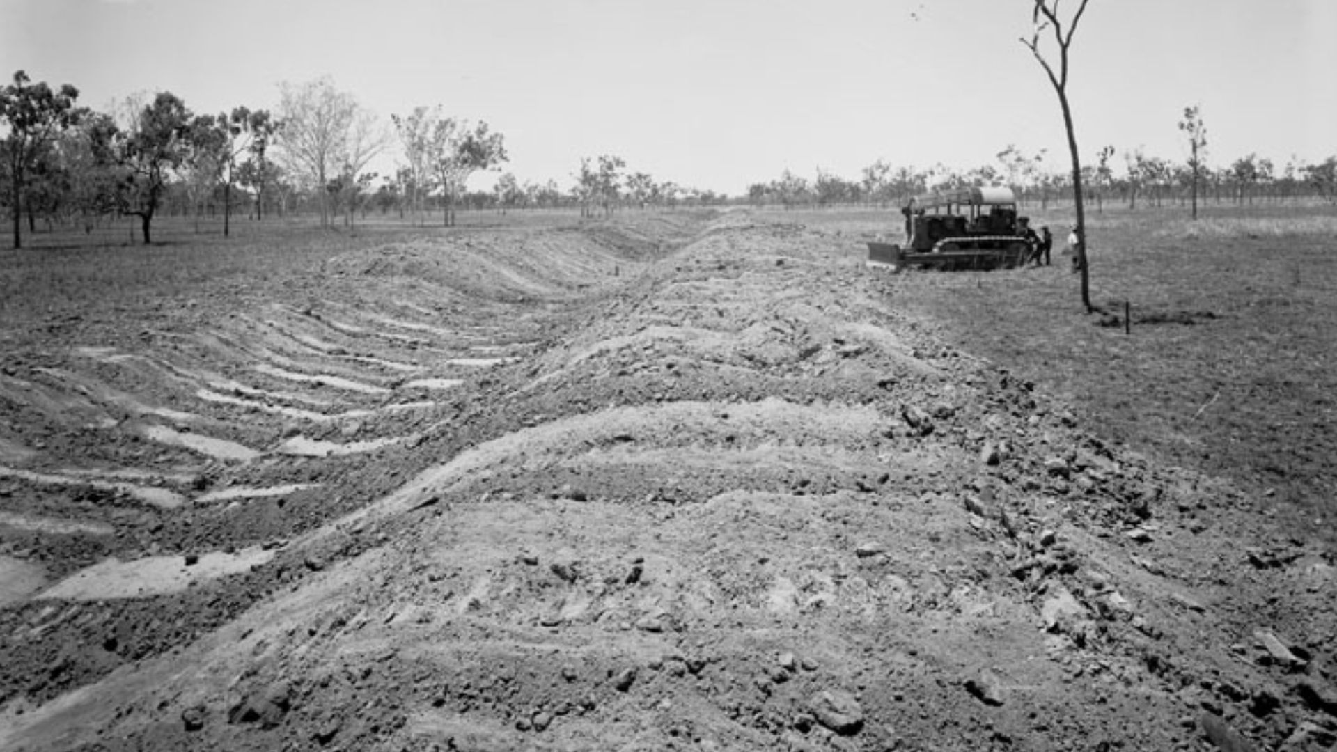 File:Queensland State Archives 1838 Irrigation channels Burdekin November 1955.png