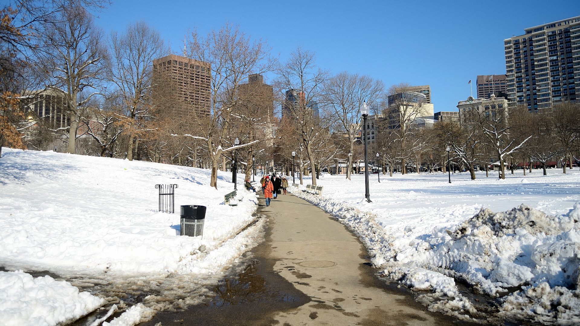 File:Boston Common - February 2014.jpg