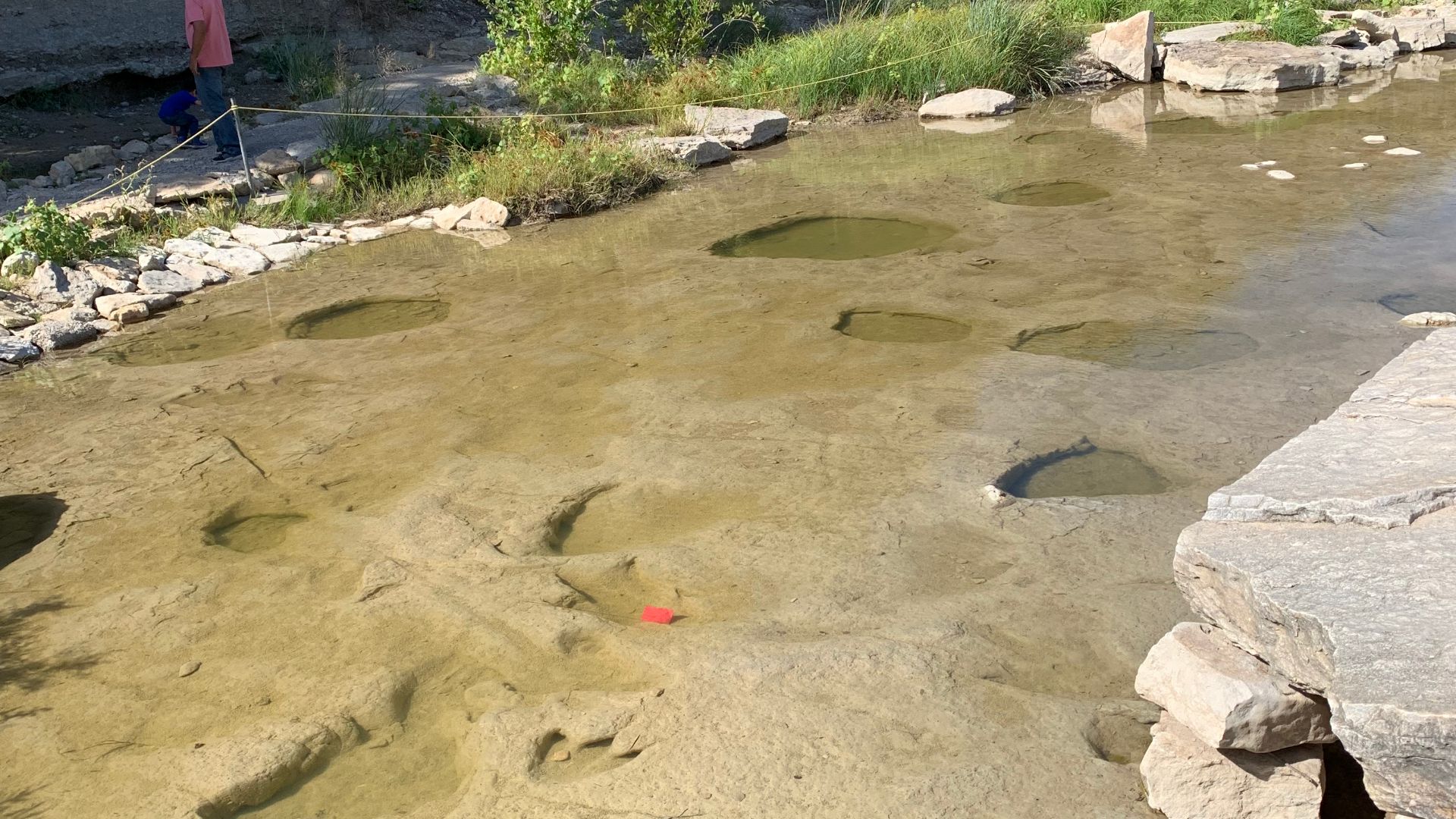 File:River with dinosaur footprints.png