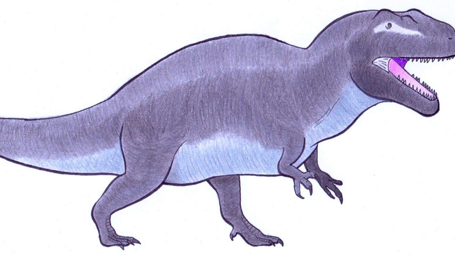 File:Acrocanthosaurus reconstruction.jpg