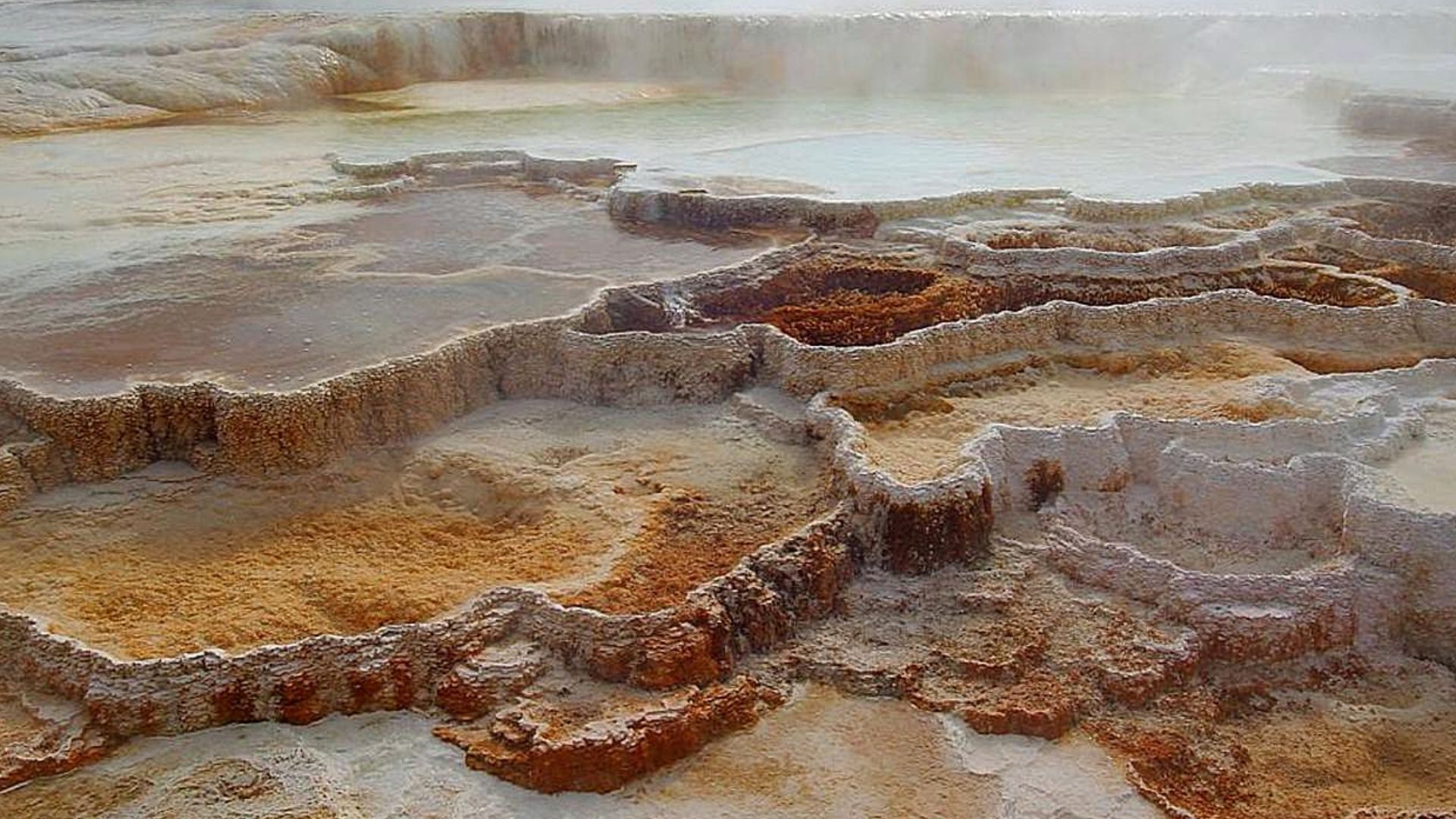 File:Hot spring in Yellowstone.jpg