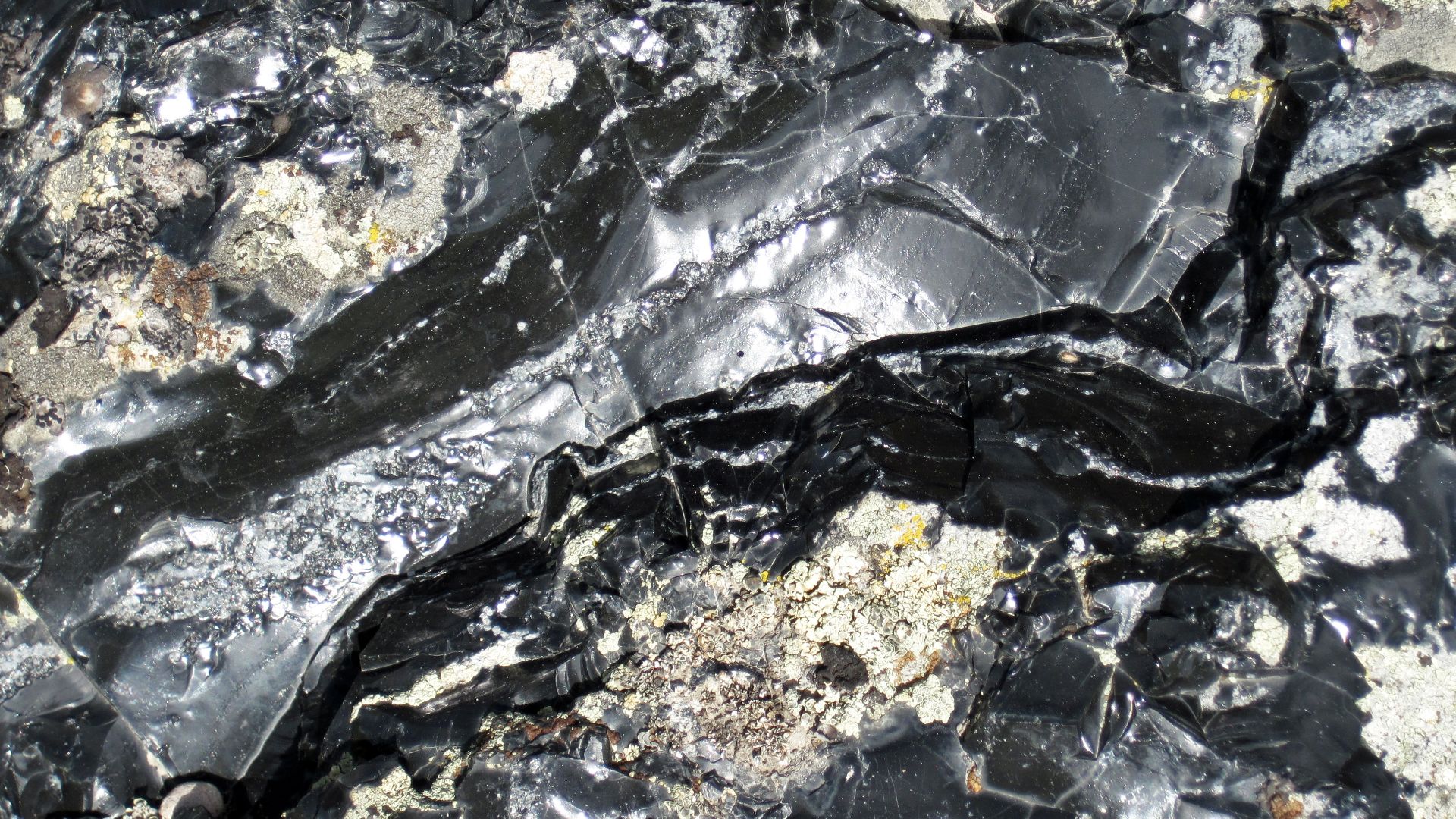 File:Aphyric rhyolitic obsidian (Roaring Mountain Member, Plateau Rhyolite, Upper Pleistocene, ~59 ka; Obsidian Cliff, Yellowstone, Wyoming, USA) 4 (32933836788).jpg