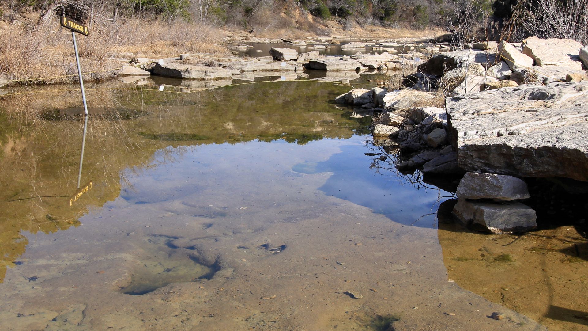 File:Main Track Site Dinosaur Valley State Park Texas 2023.jpg