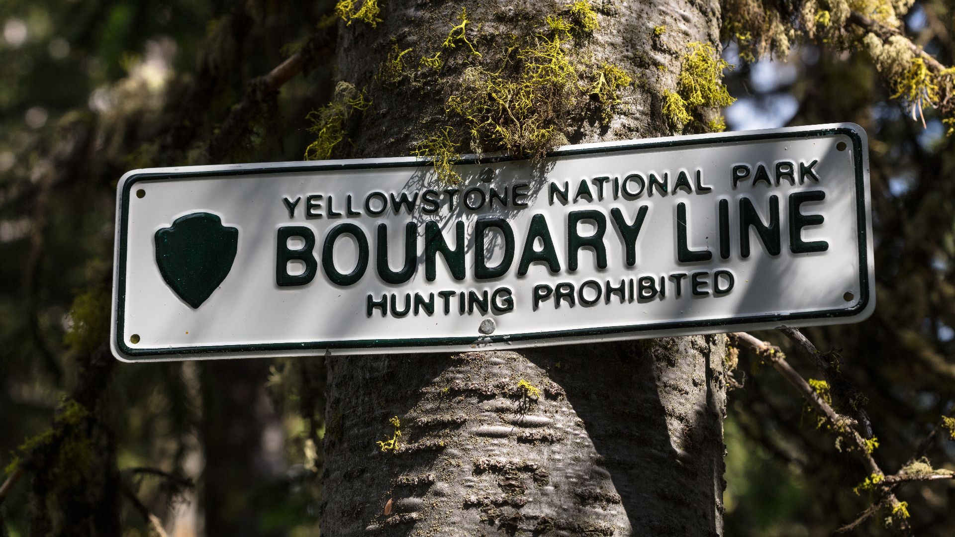 File:Boundary line between Yellowstone and Custer Gallatin National Forest (2) (36357502904).jpg
