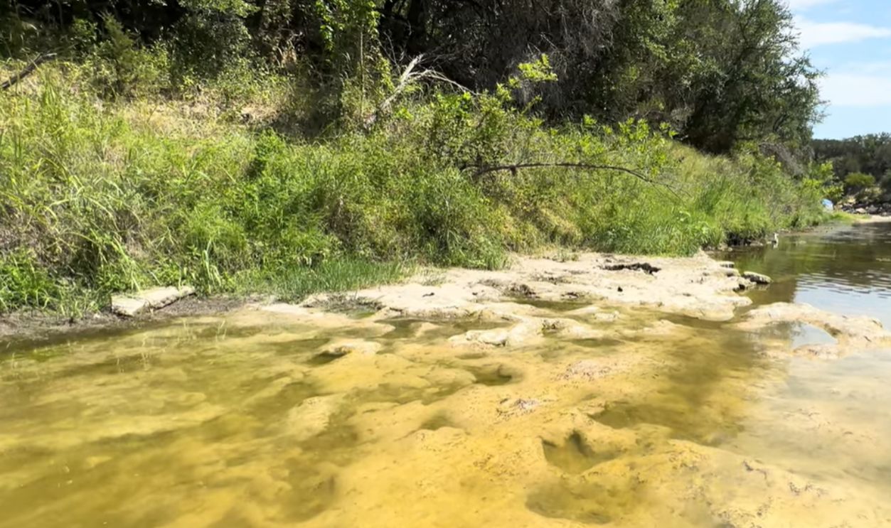 Size, Shape, And Claws: Clues To A Predator