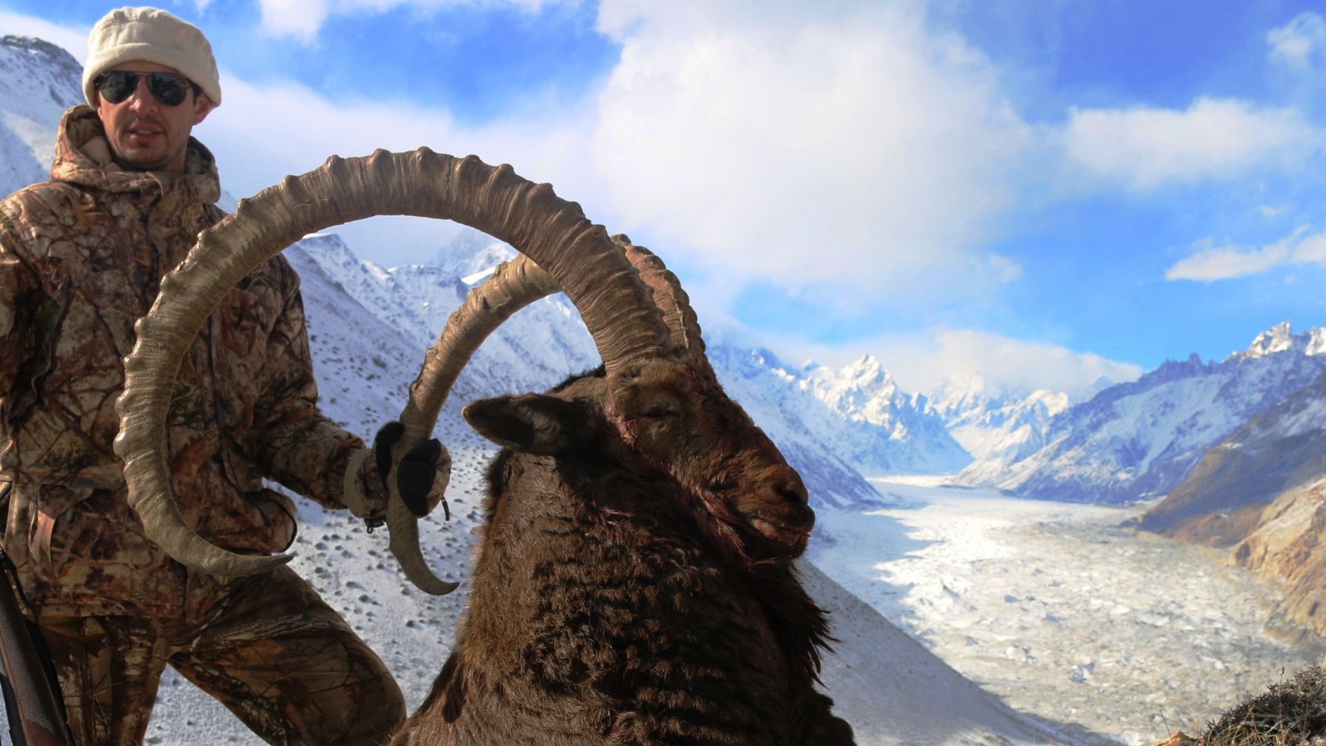 File:Himalayan Ibex World Record.jpg