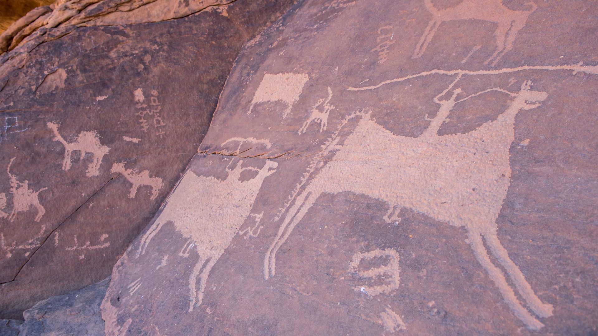 File:النقوش الصخرية في جبة حائل.jpg