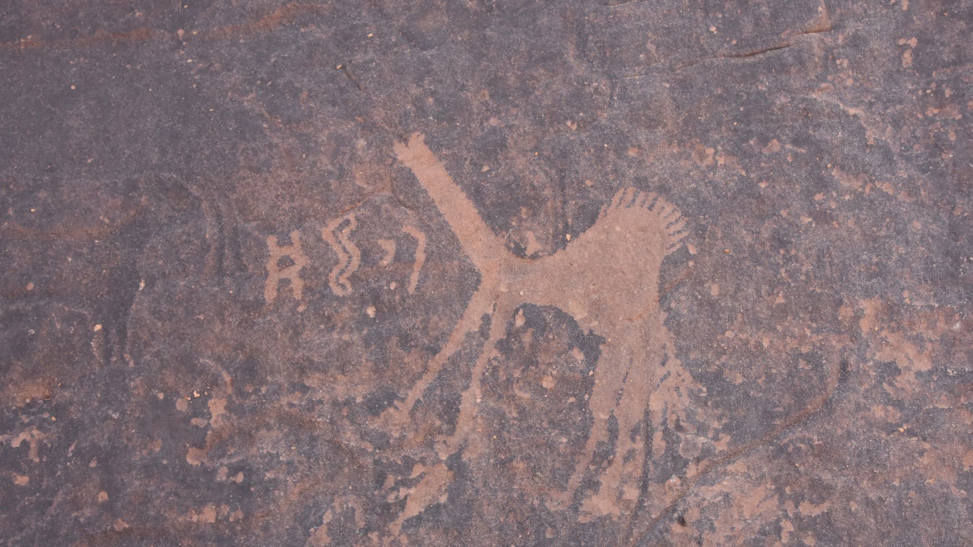 File:Camel and Thamudic inscription, Jubbah rock art site, Saudi Arabia.jpg