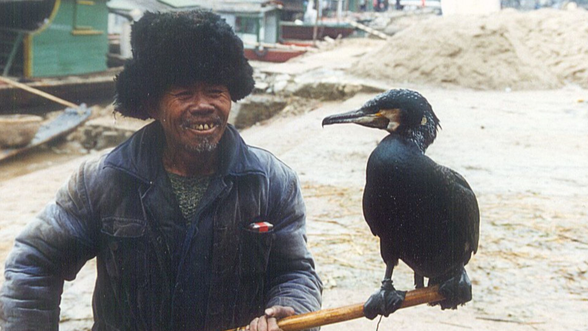 File:Cormorant xingping cropped.jpg