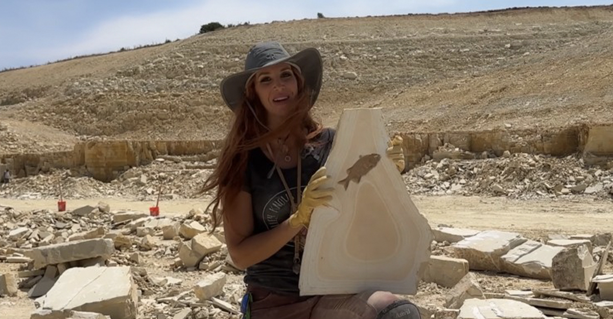 Mineralsfossilsmsn02