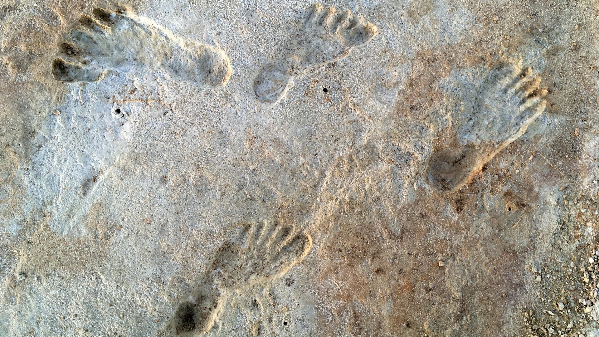 File:Human fossil tracks at White Sands New Mexico.jpg