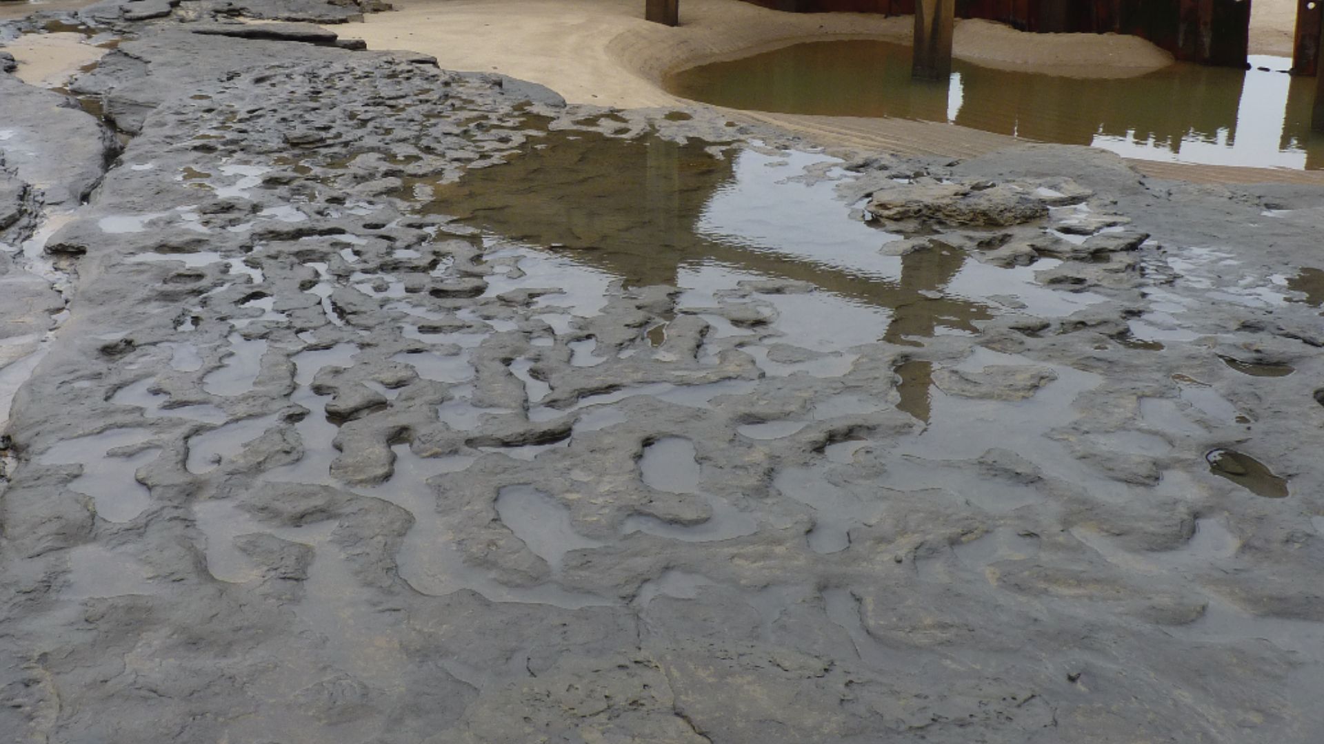 File:Photographs of Area A at Happisburgh (2) cropped 2.png