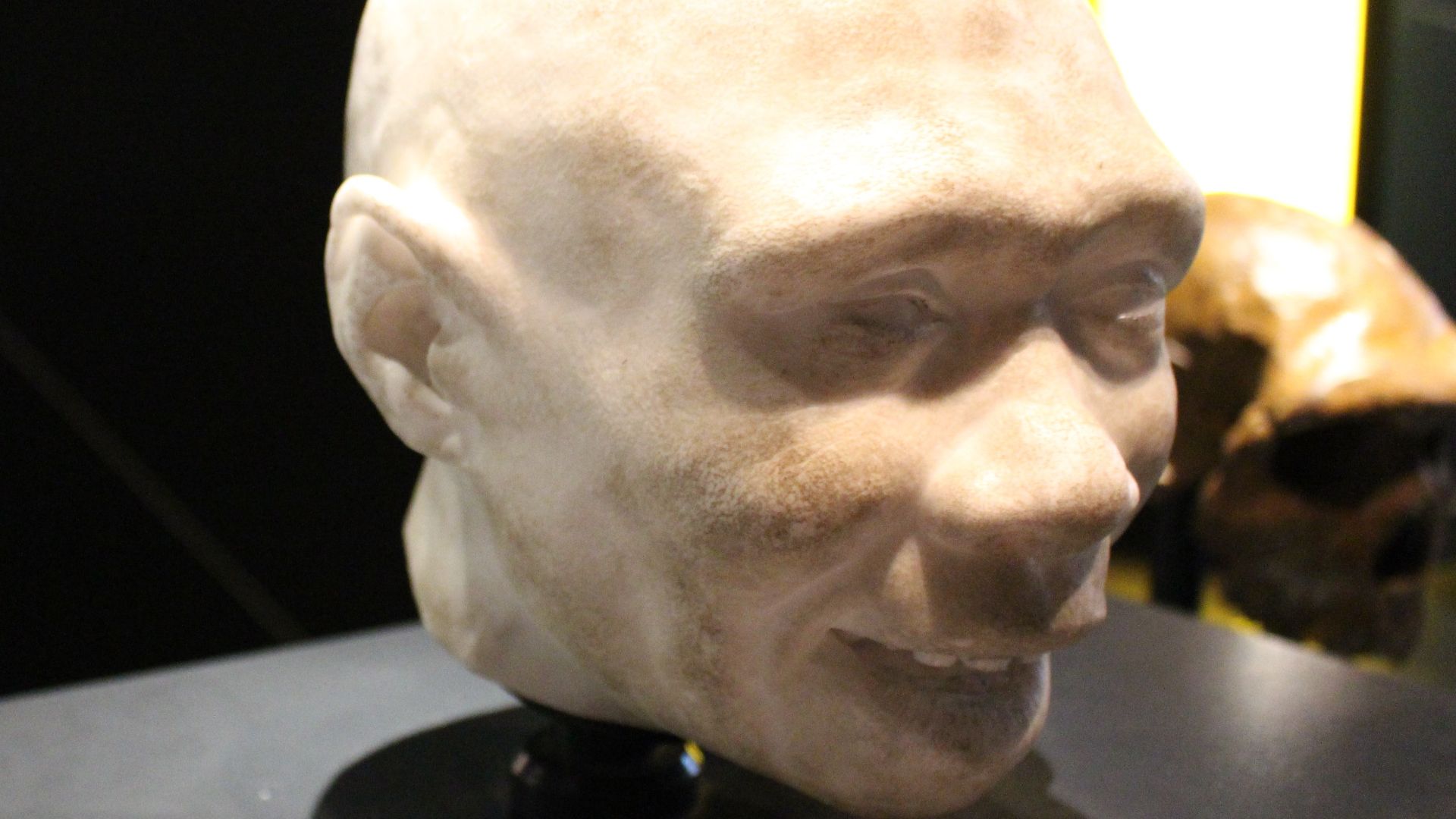 File:Em - Homo antecessor child model - 2.jpg