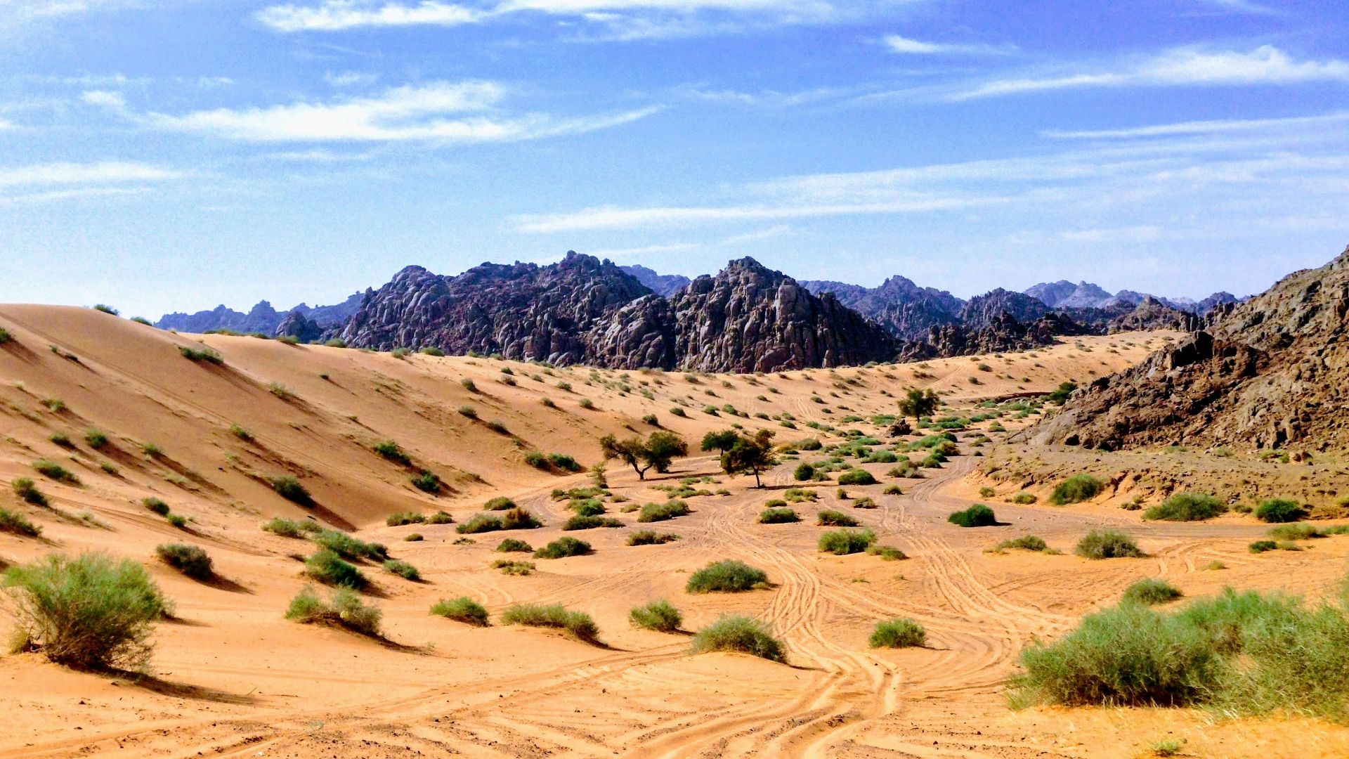 sand dune and mountain scenery