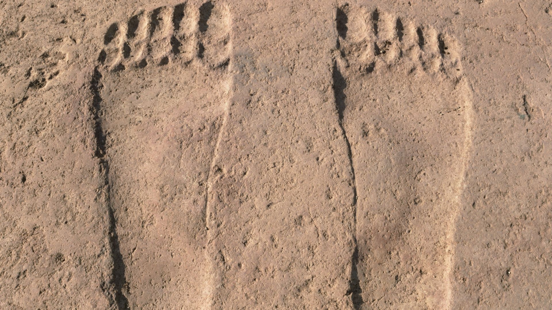 File:Temple, Ain Dara (عين دارة), Syria - Carved footprints in portico - PHBZ024 2016 0621 - Dumbarton Oaks.jpg