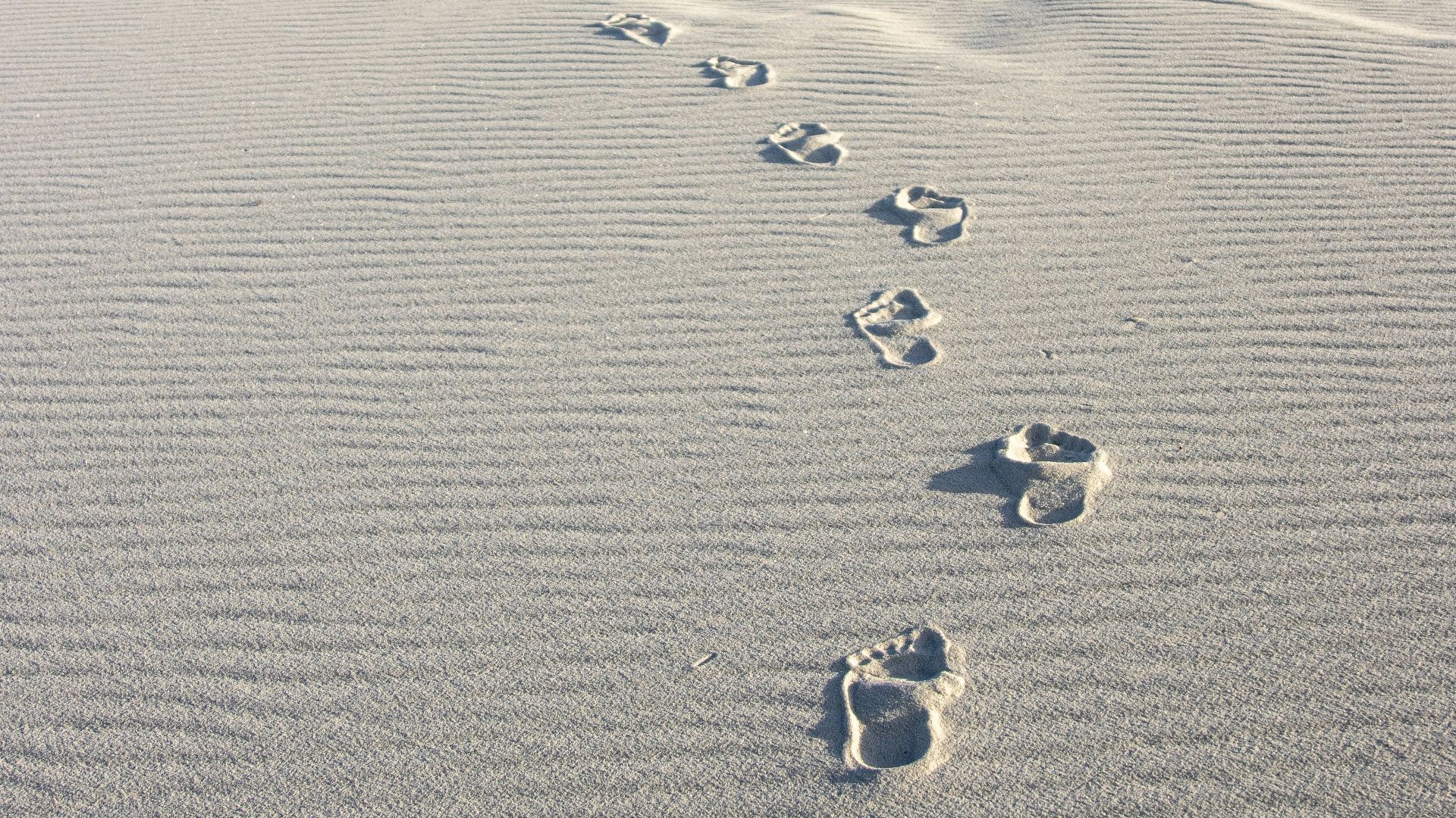 a long line of footprints in the sand