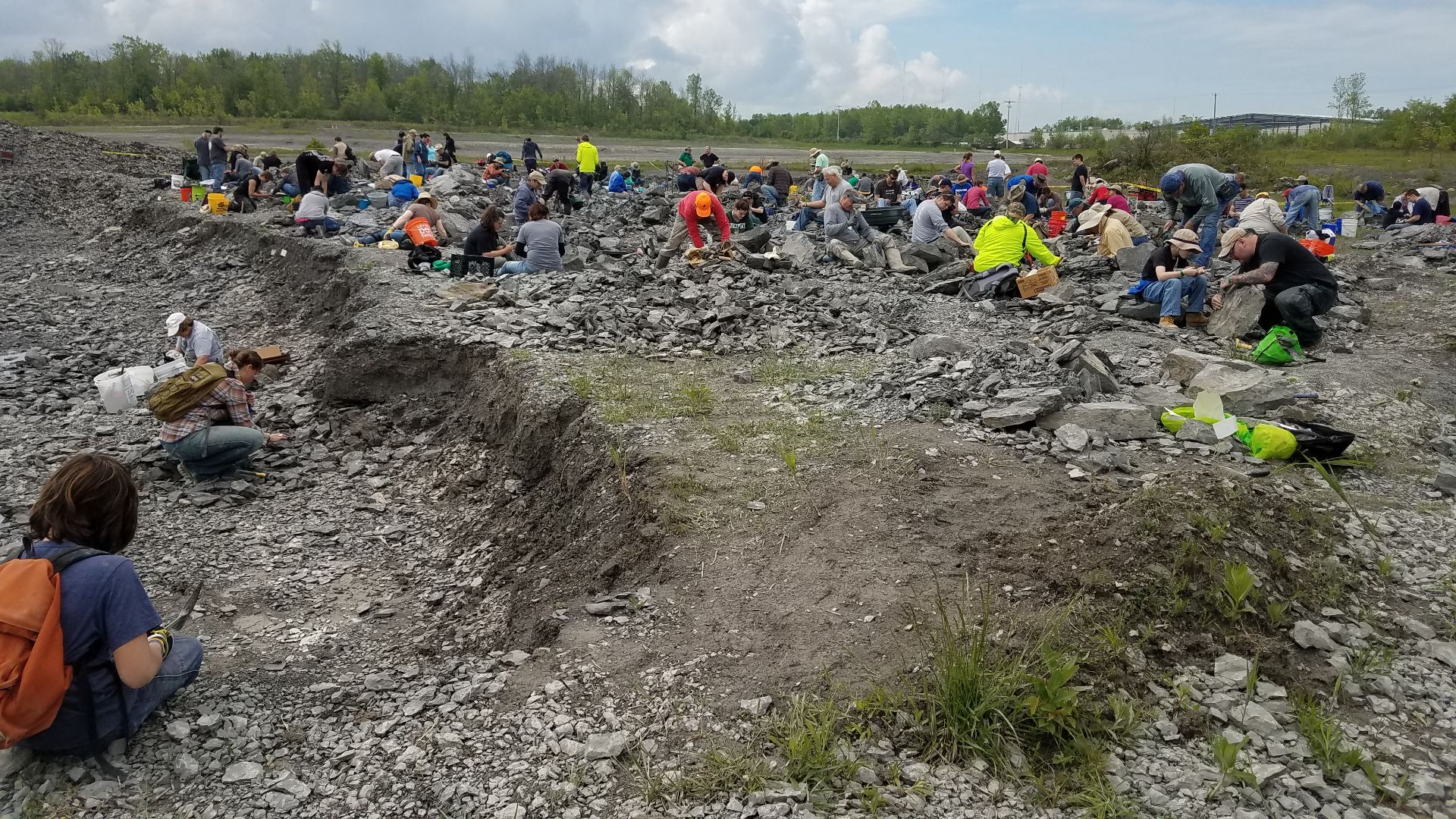 File:Penn Dixie Fossil Park and Nature Reserve site.jpg