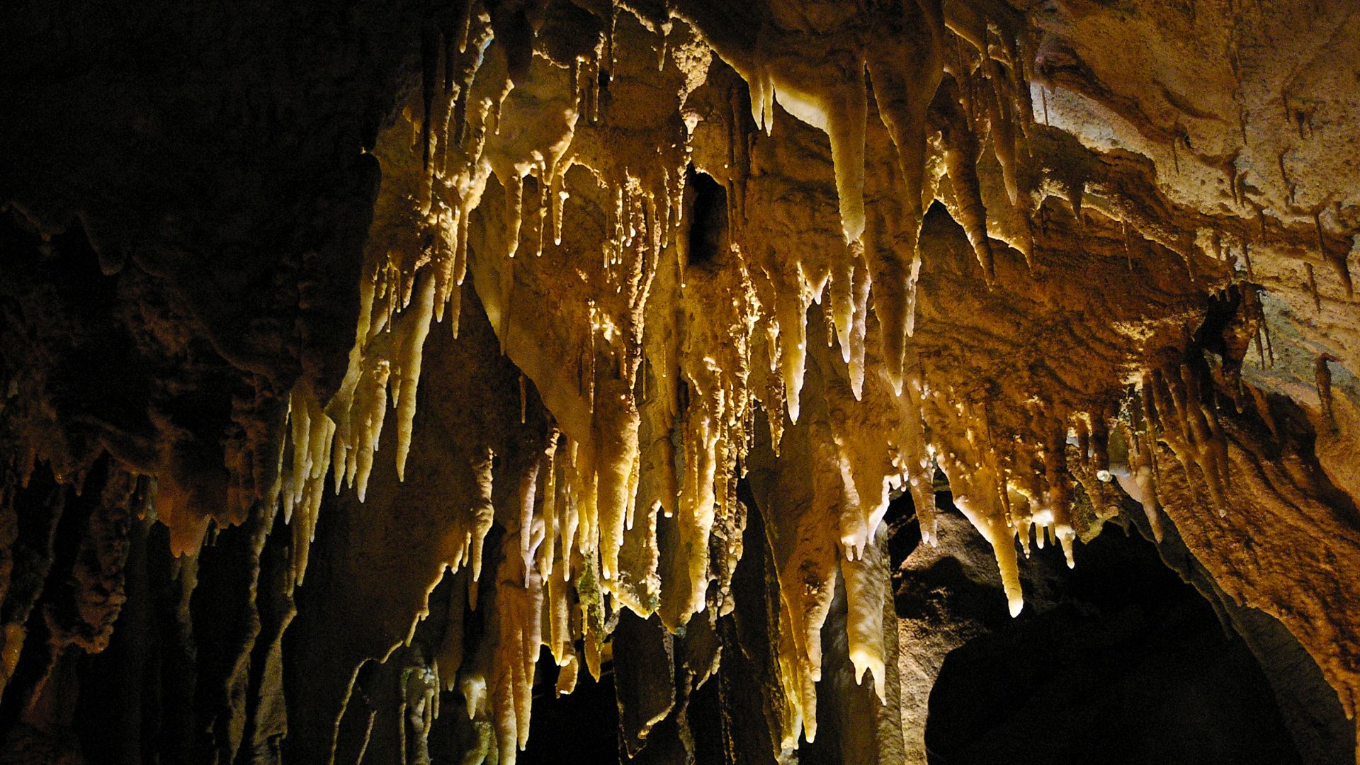 File:Mammoth Cave National Park 01.jpg