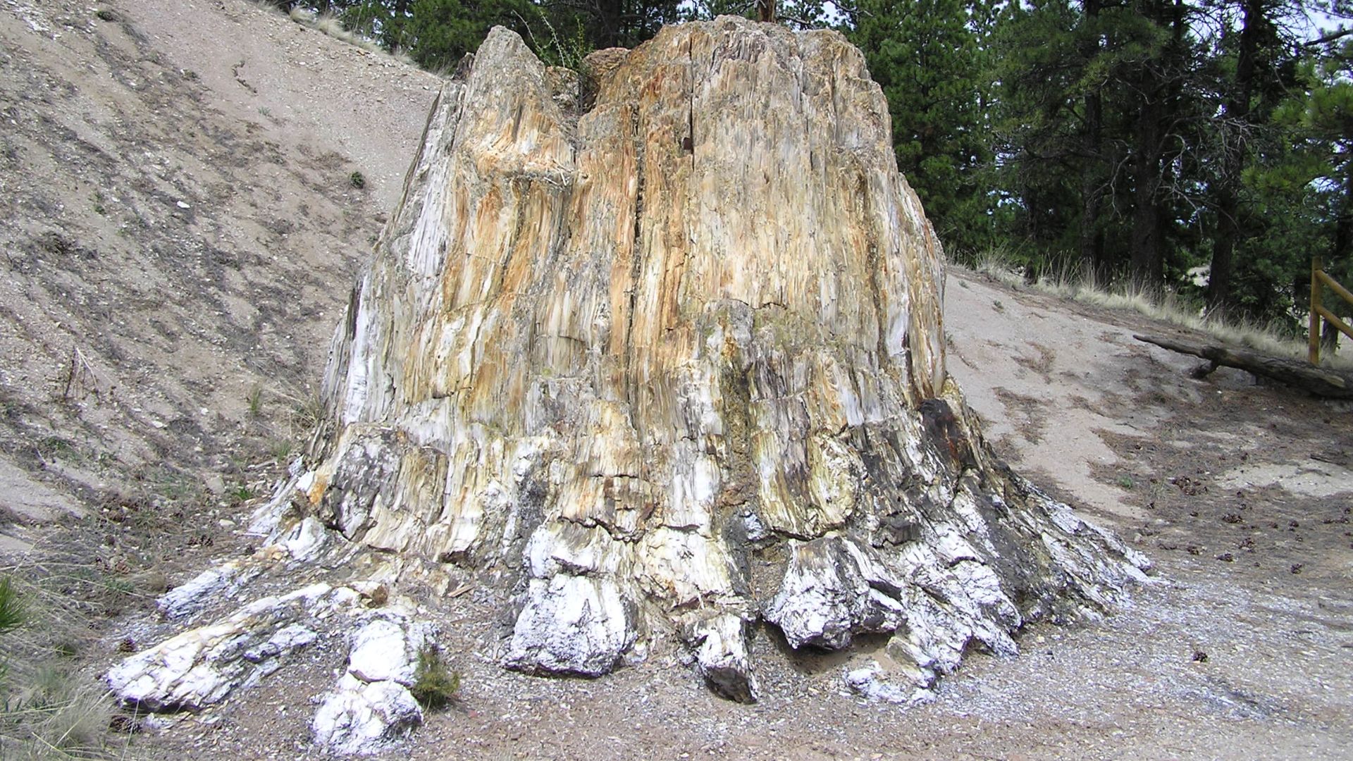 File:Florissant Fossil Beds National Monument PA272520.jpg