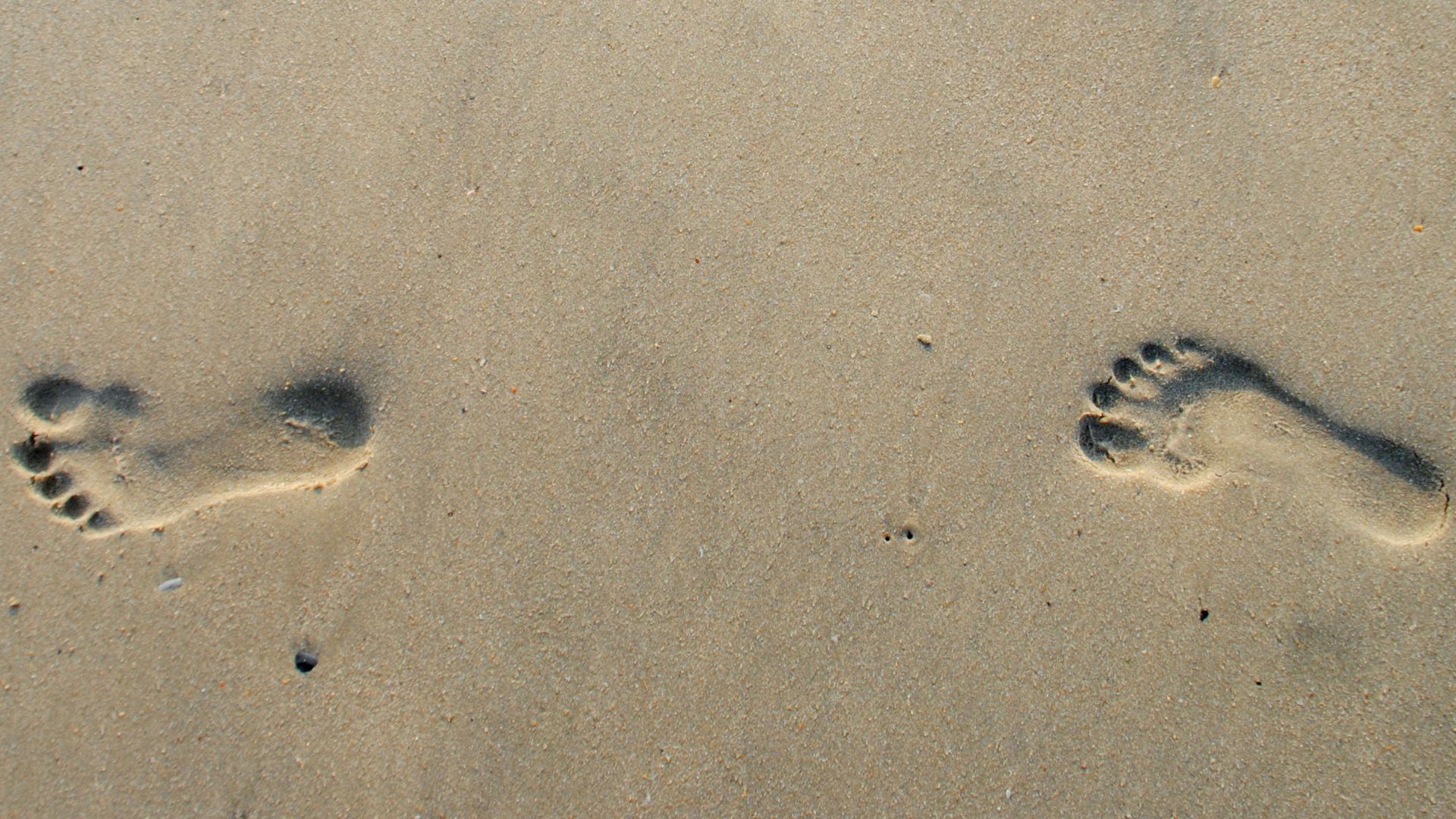 File:Foot Steps 1.JPG