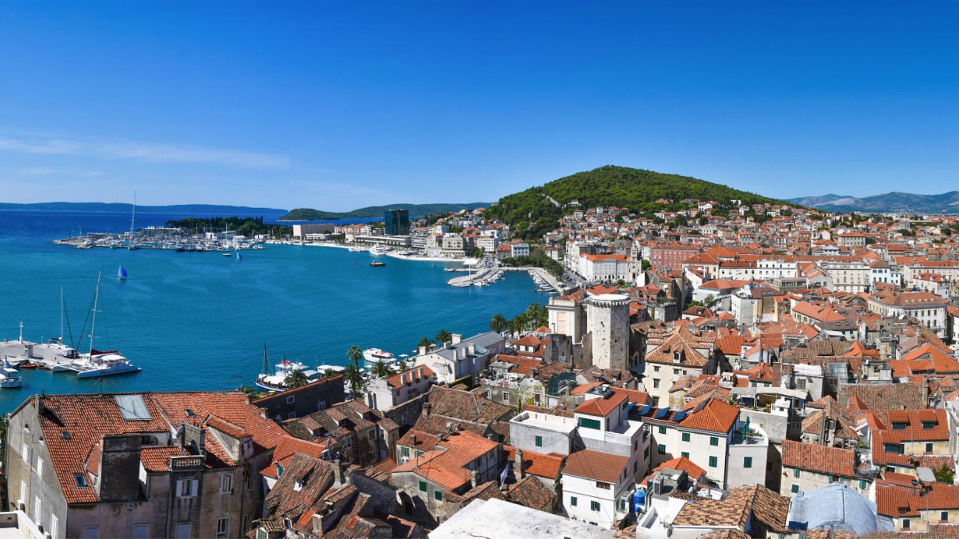 File:Split Marina (164674965).jpeg