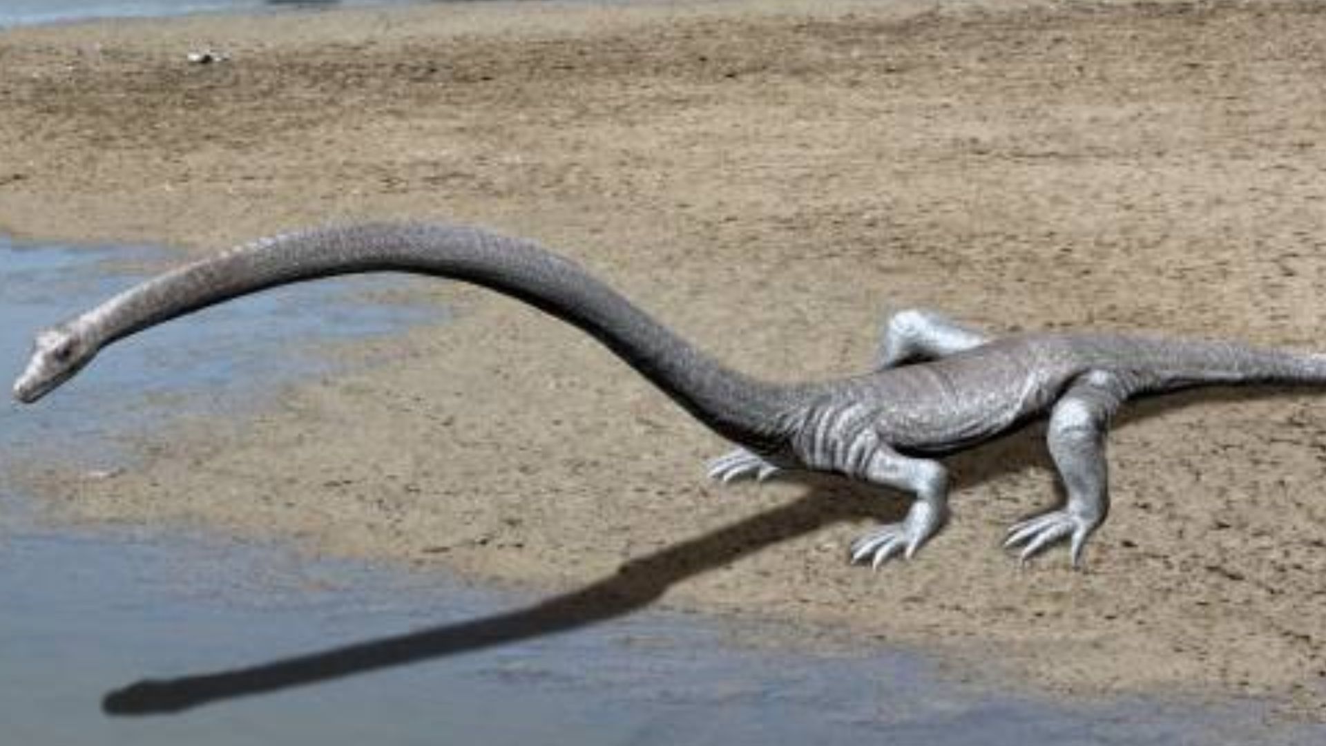 File:Tanystropheus NT small.jpg