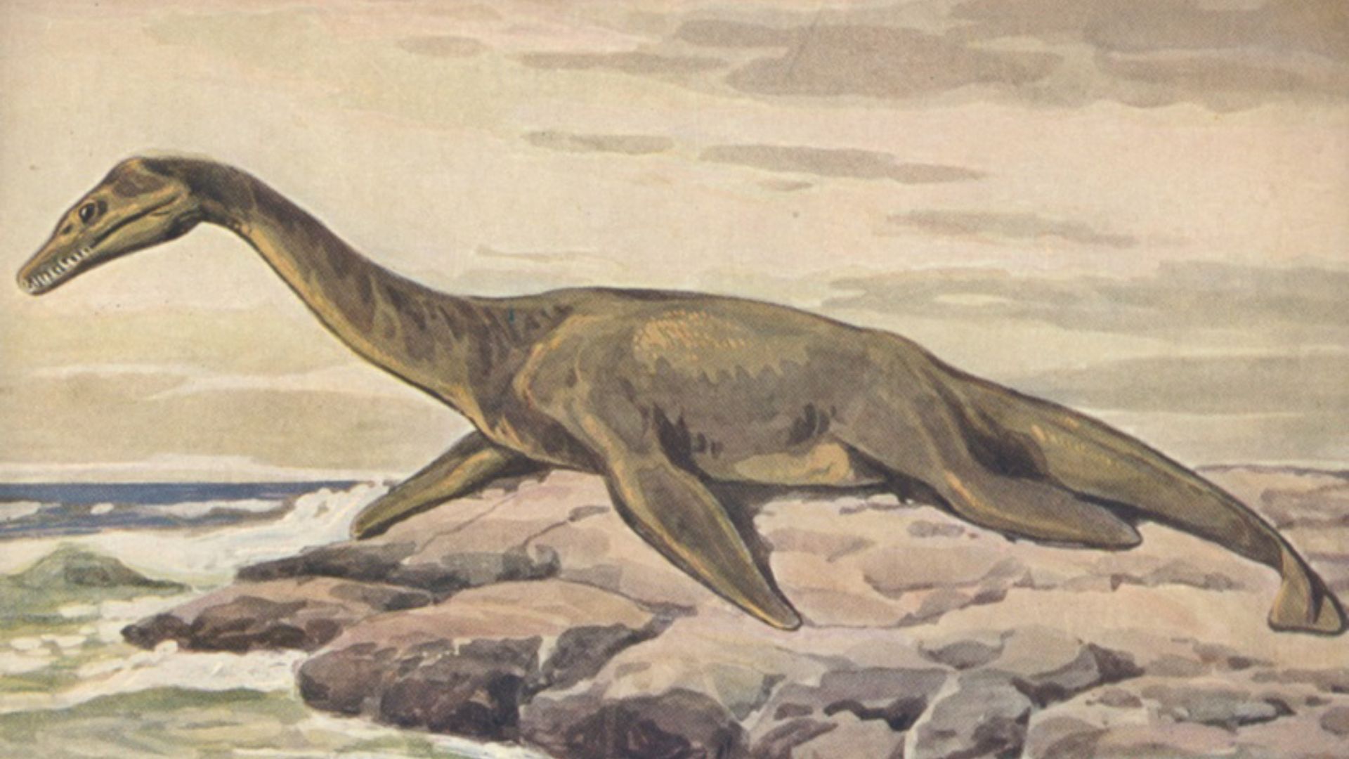 File:Plesiosaur on land.jpg