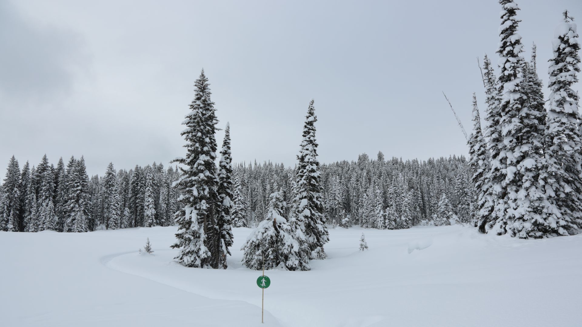 File:Snowshoe trail 7.jpg