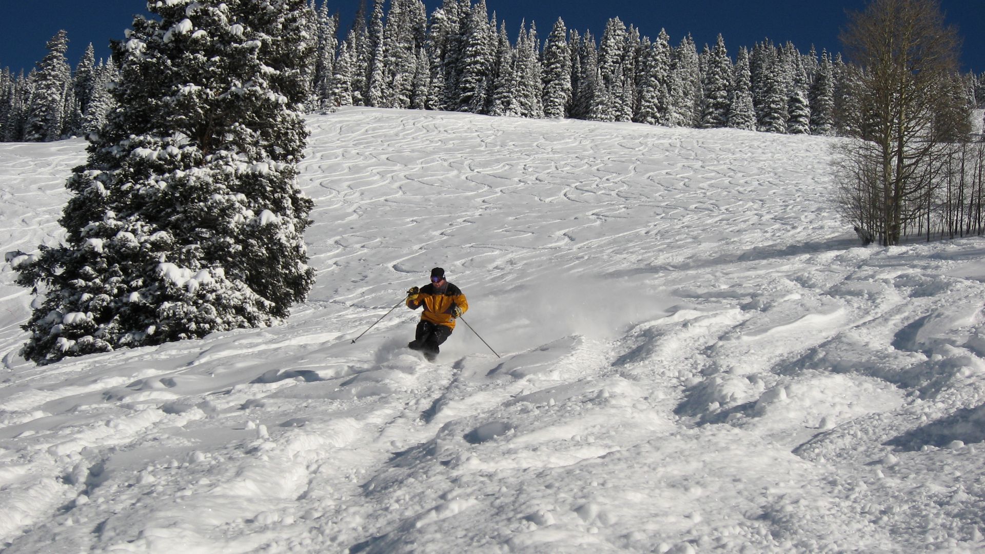 File:Powder Day Vail Colorado USA.jpg