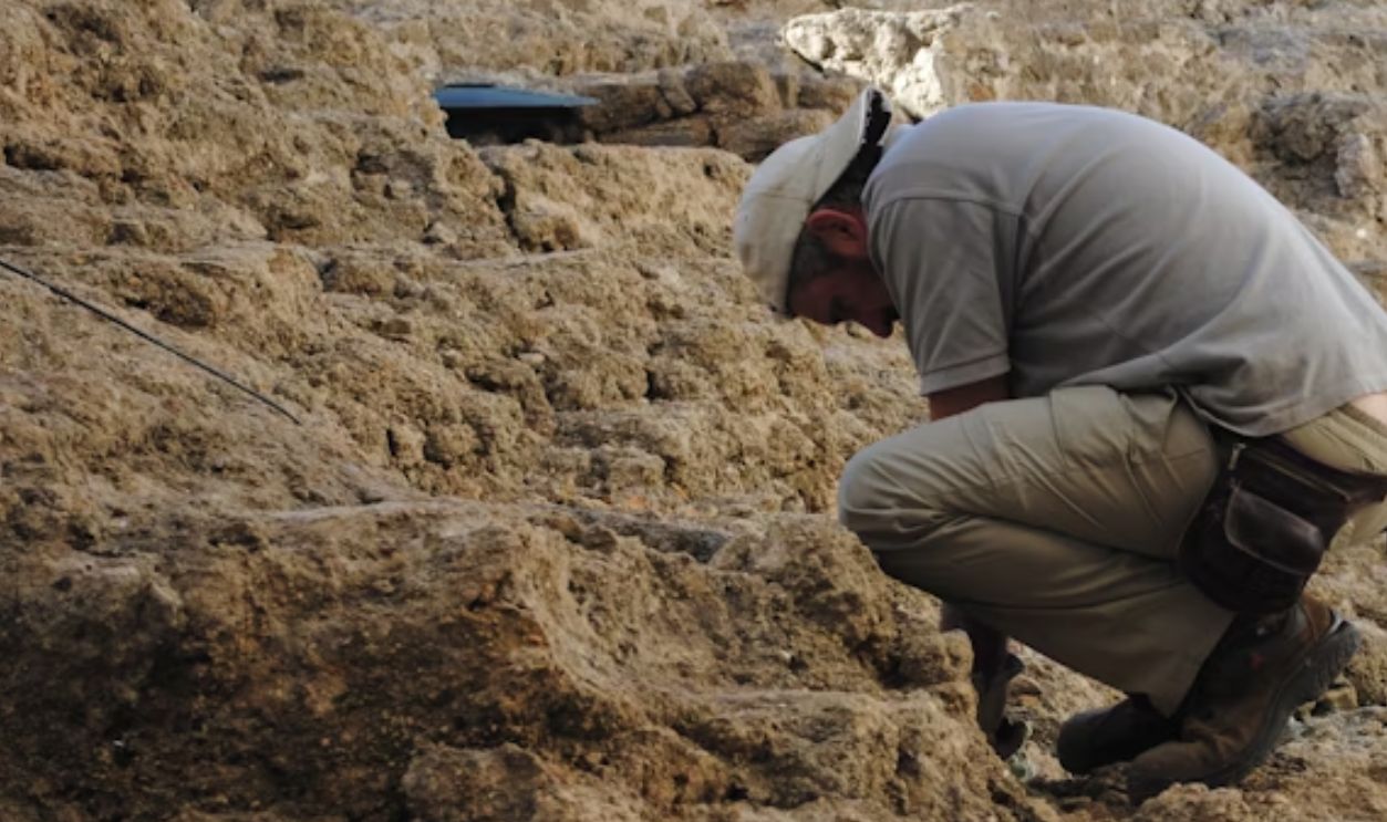 Archeologist searching