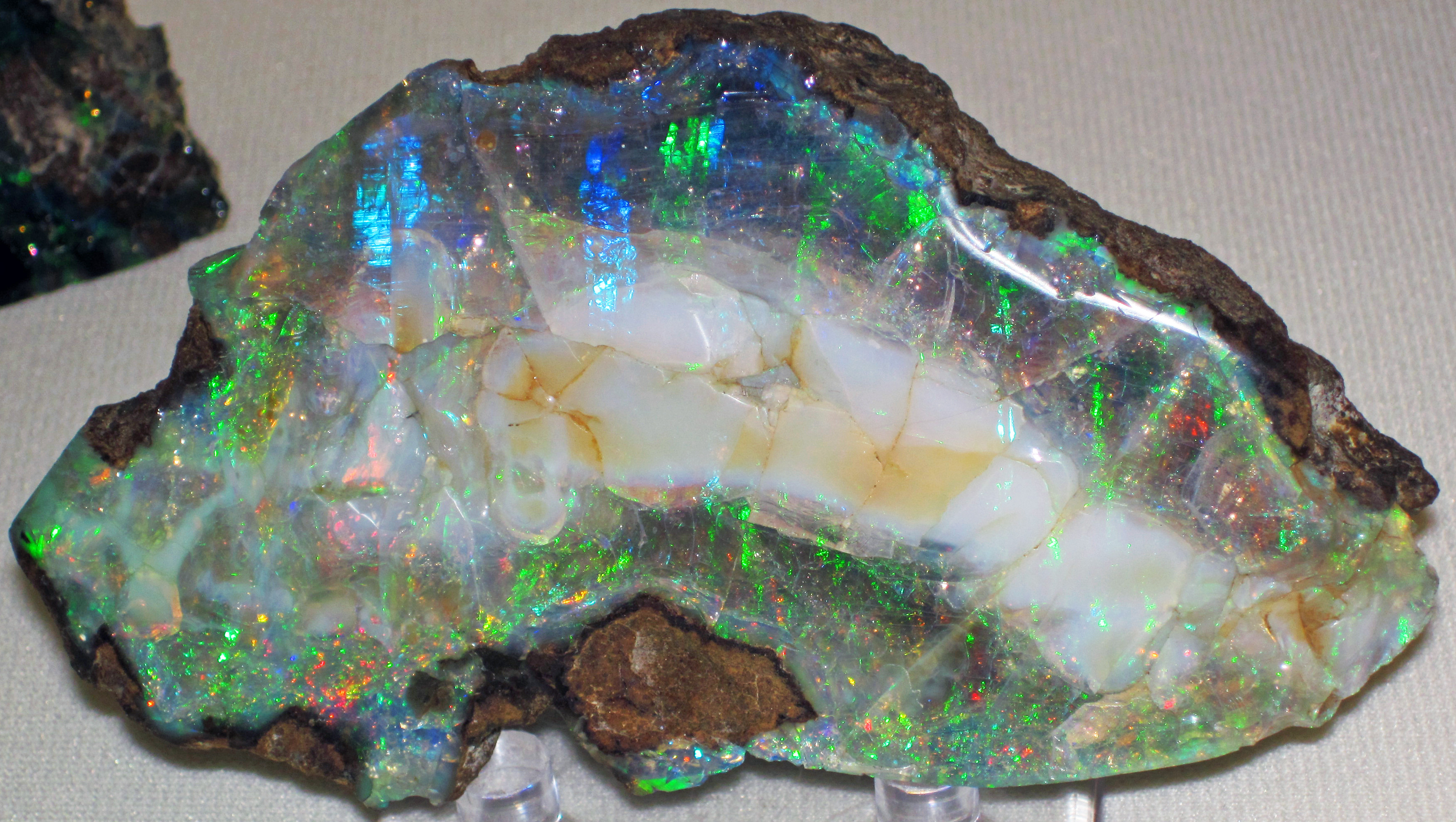 File:Precious opal (Virgin Valley Formation, Middle Miocene; Virgin Valley, northwesern Nevada, USA) 2 (33716048314).jpg