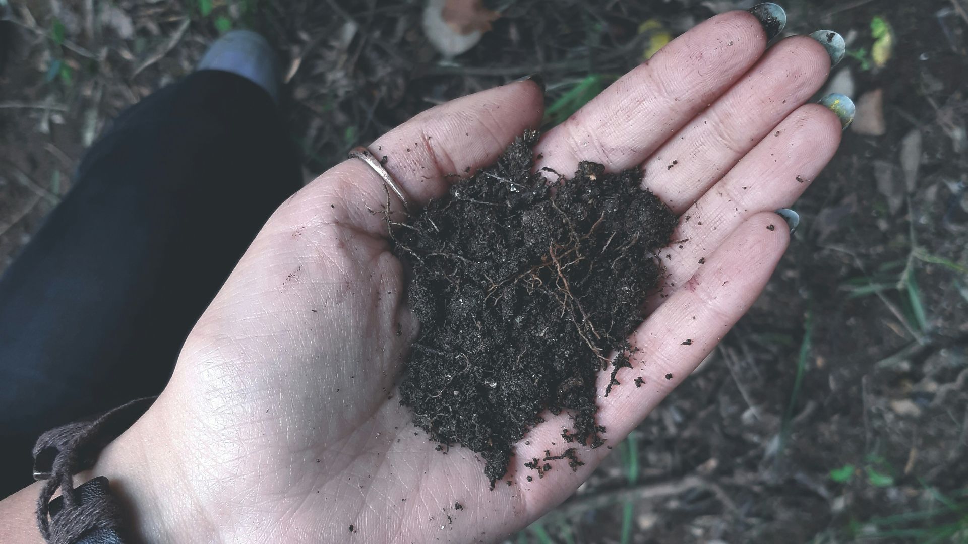 a person holding a handful of dirt in their hand