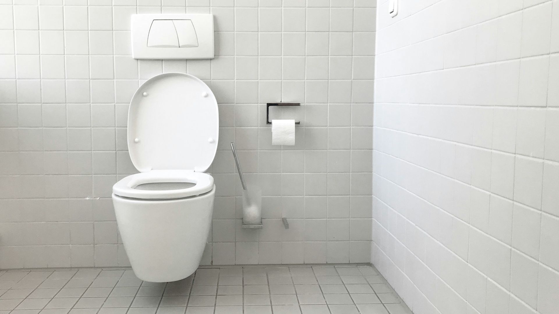 white toilet bowl with cistern