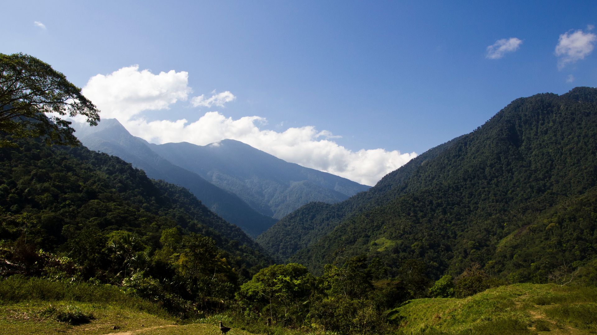 File:Ciudad Perdida Hike (5479987515).jpg