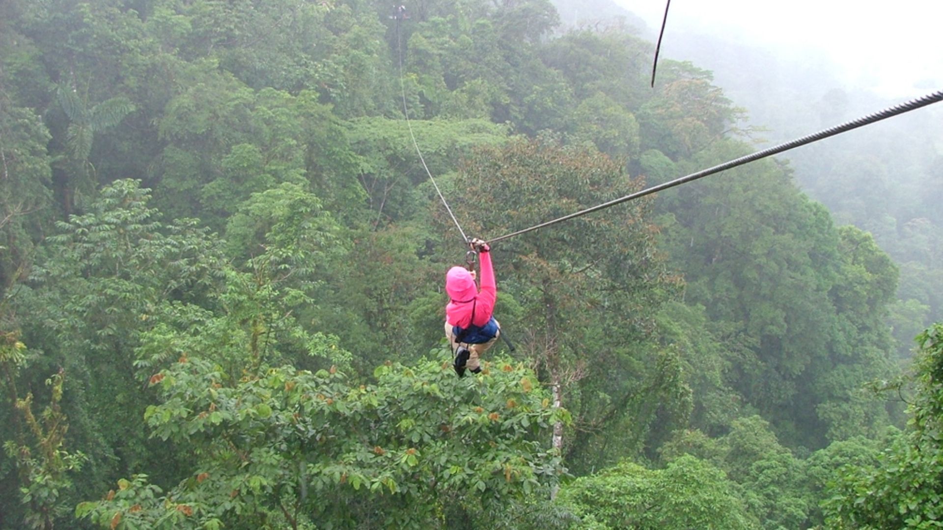 File:Zip-line over rainforest canopy 4 January 2005, Costa Rica.jpg