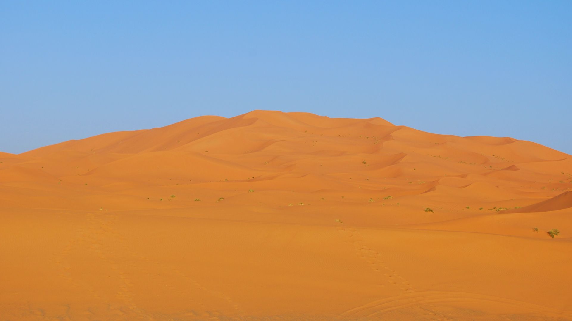 File:Dunes-Merzouga-Erg Chebi.JPG