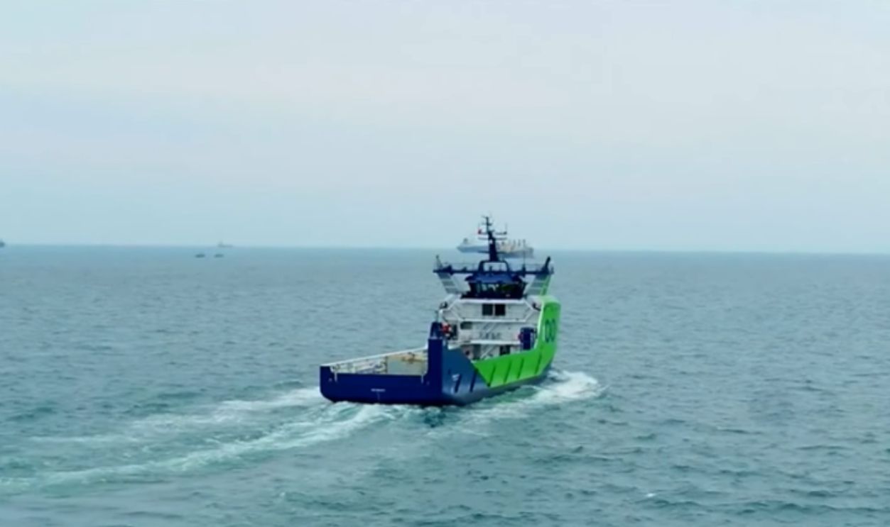 Collaboration With Official Investigators And Agencies