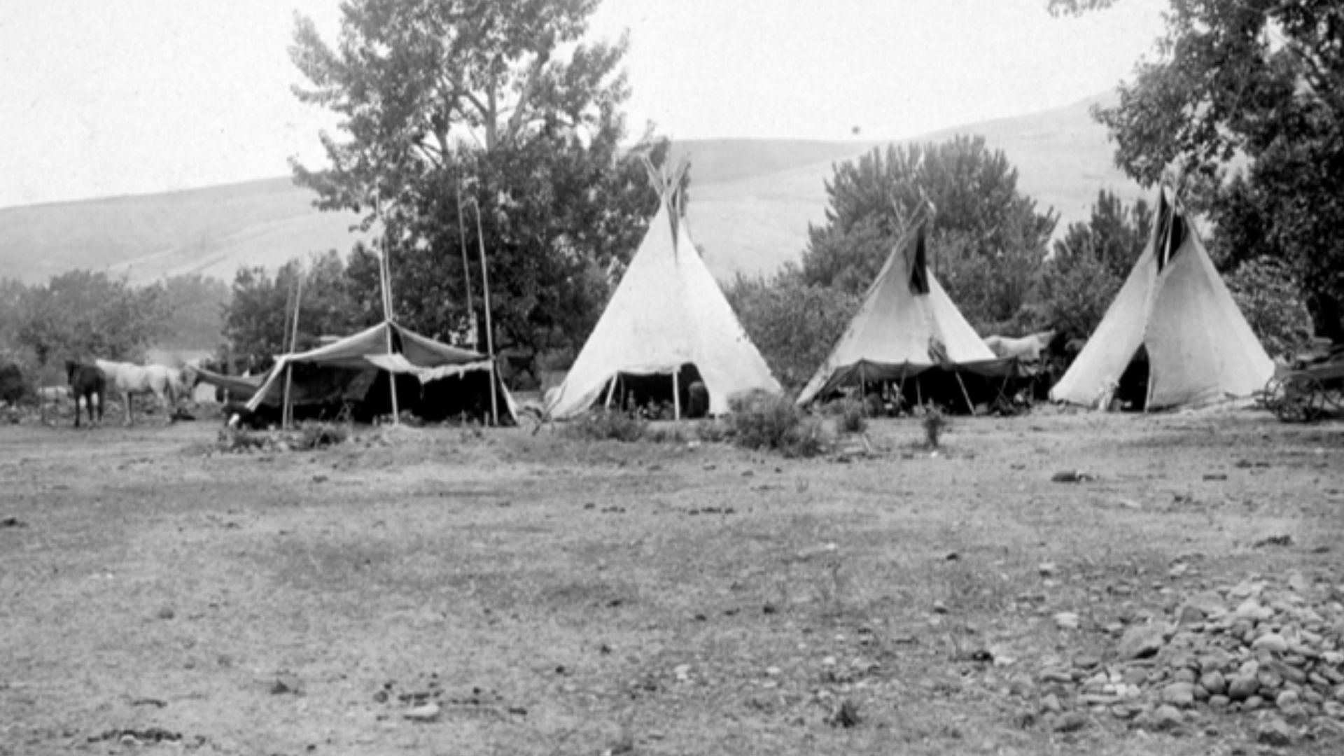 File:Nez-perce-encampment-1899-spalding.jpg