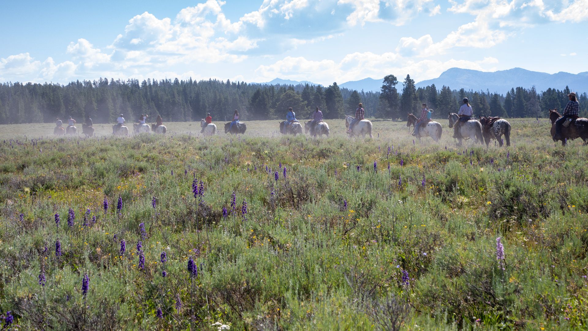 File:Nez Perce Appaloosa Horse Club Ride and Parade- Pelican Valley Trail (52262327382).jpg