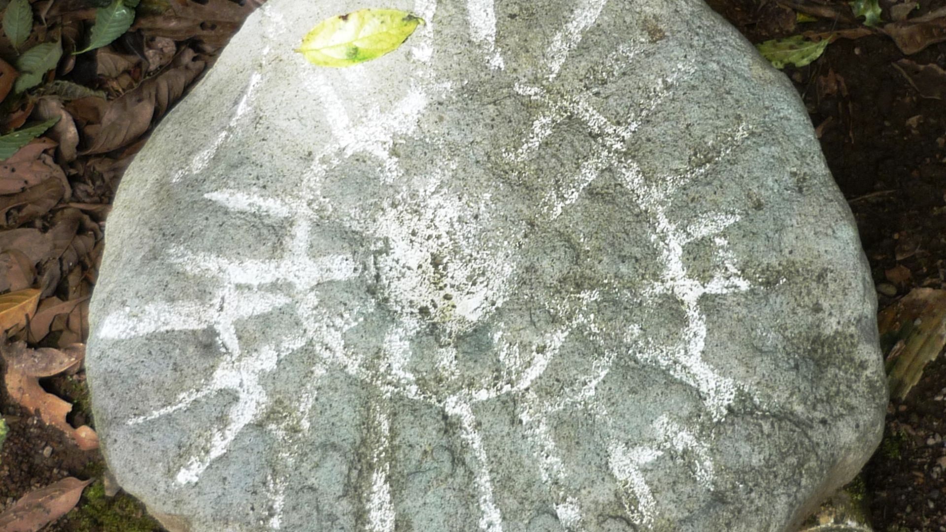 File:Petroglifos en Guayabo.JPG